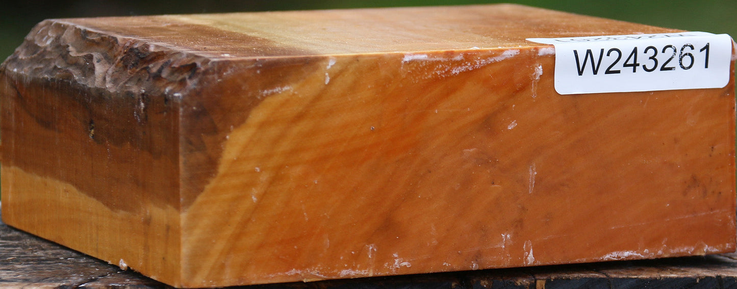 Figured Swiss Pear Bowl Blank