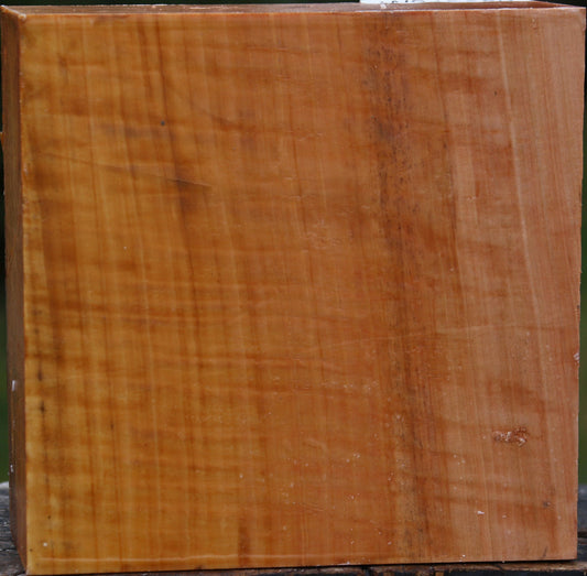 Figured Swiss Pear Bowl Blank