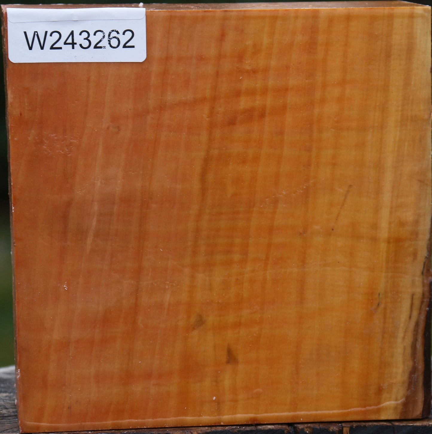 Figured Swiss Pear Bowl Blank