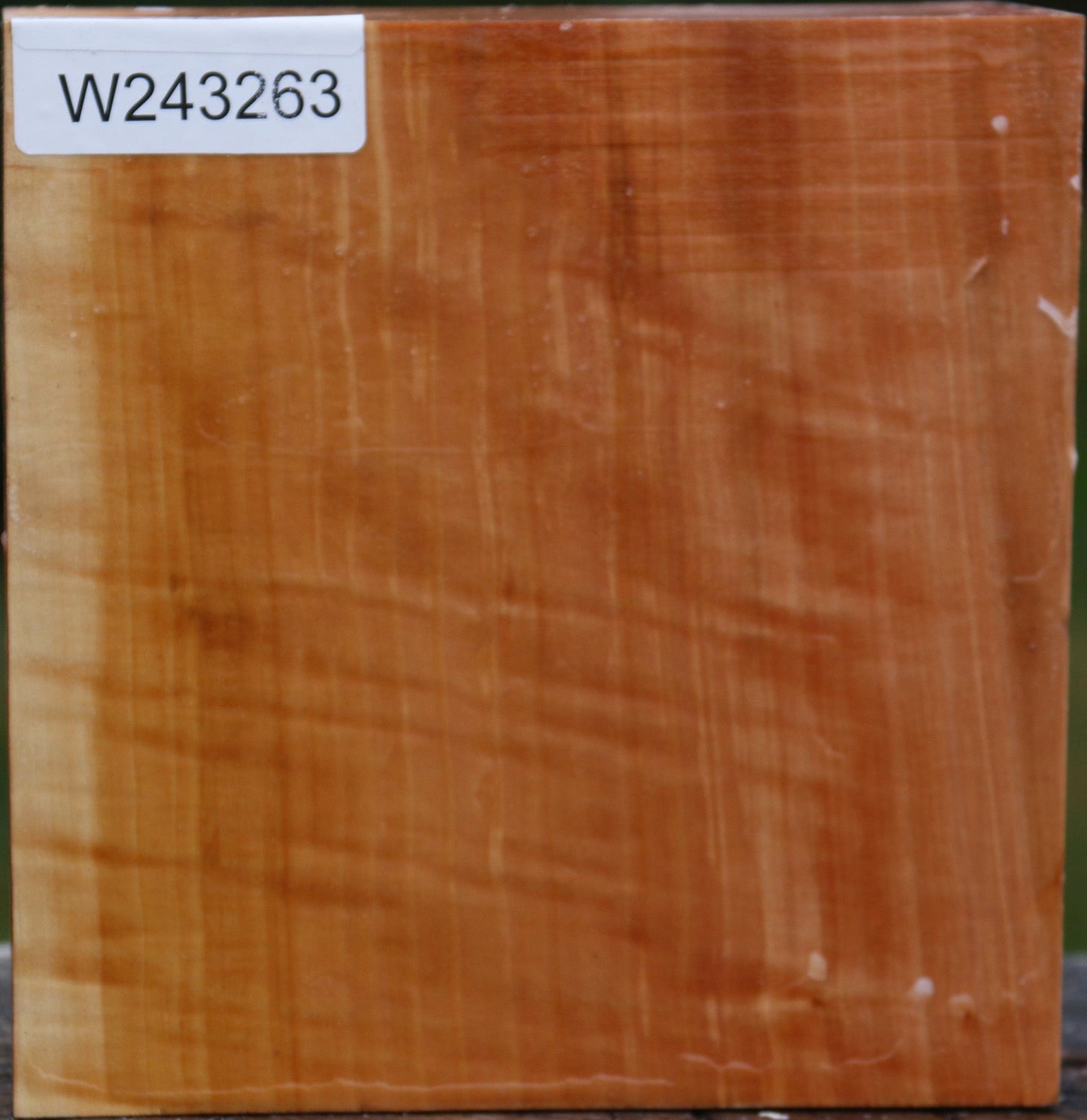 Figured Swiss Pear Bowl Blank