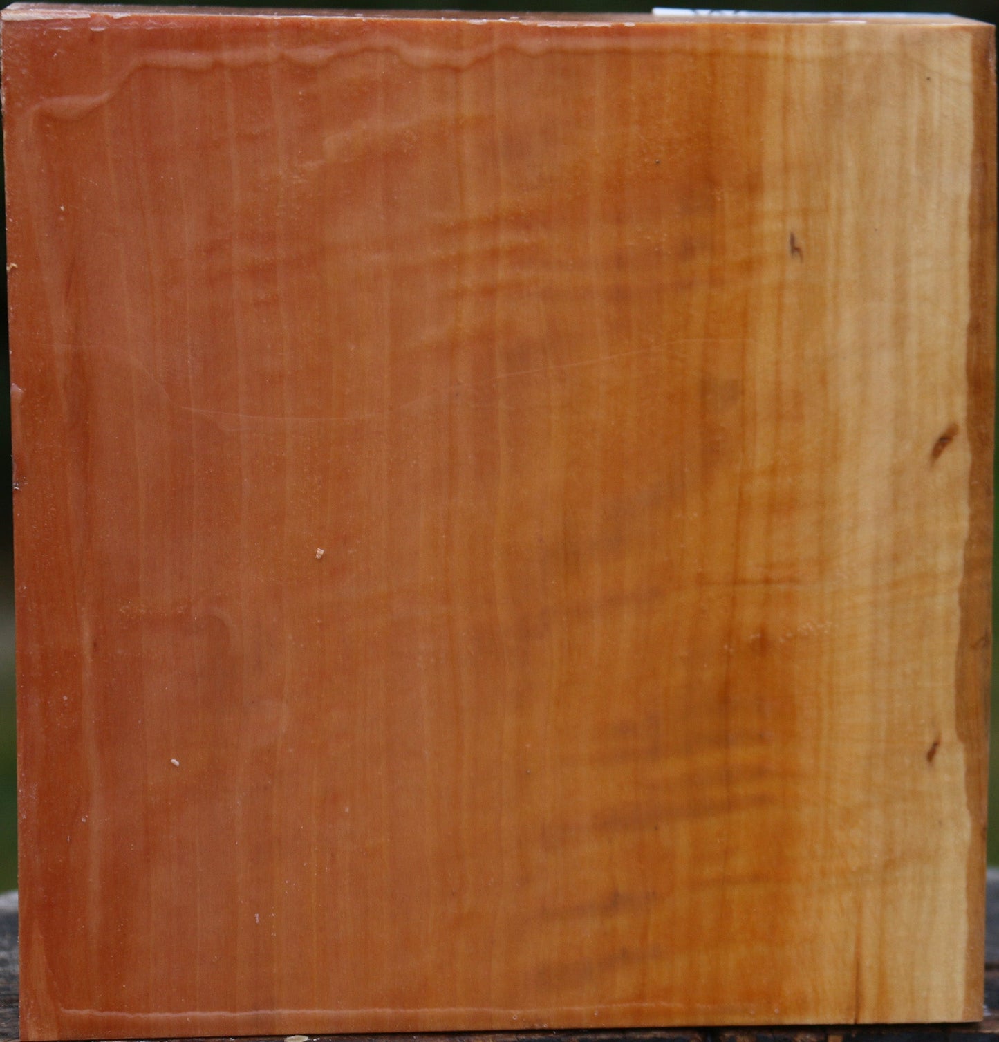 Figured Swiss Pear Bowl Blank