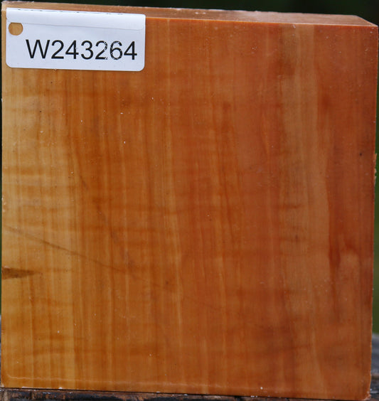 Extra Fancy Swiss Pear Bowl Blank