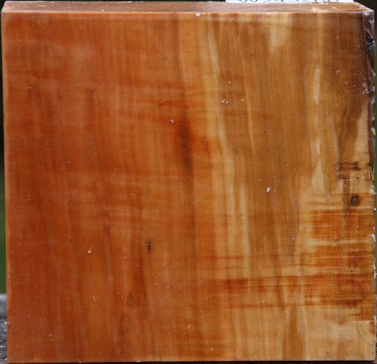 Figured Swiss Pear Bowl Blank