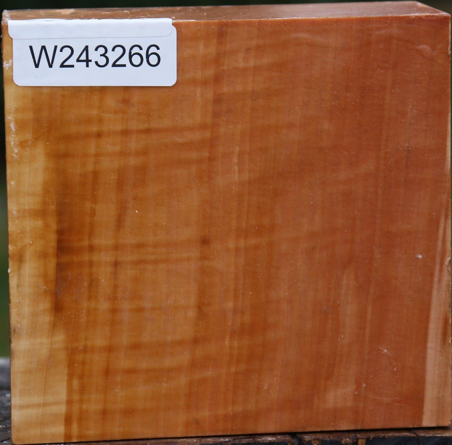 Figured Swiss Pear Bowl Blank