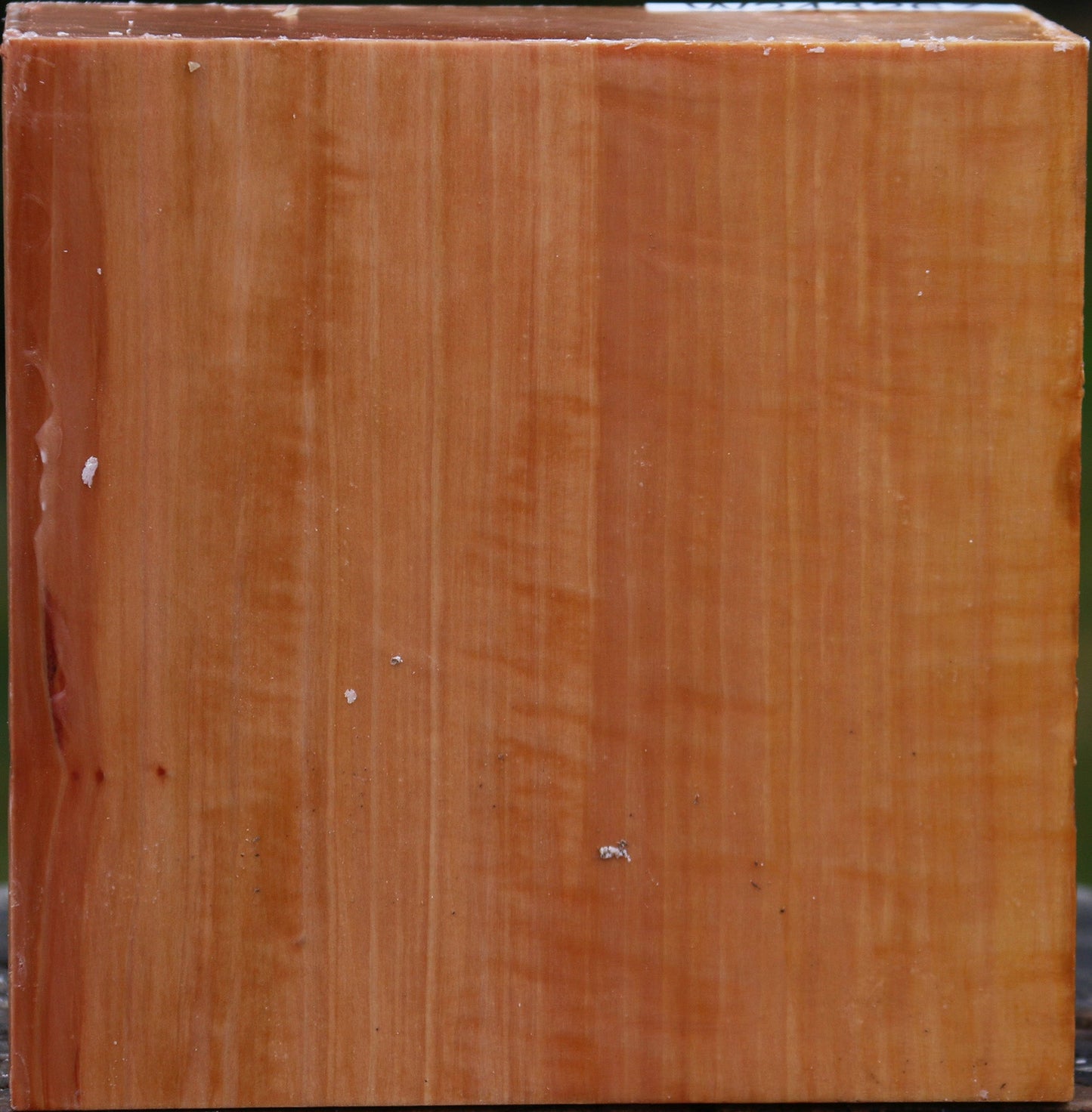 Figured Swiss Pear Bowl Blank