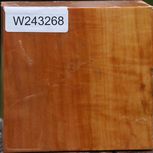 Figured Swiss Pear Bowl Blank