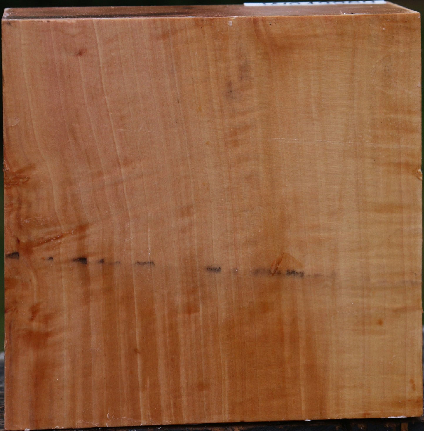 Extra Fancy Swiss Pear Bowl Blank