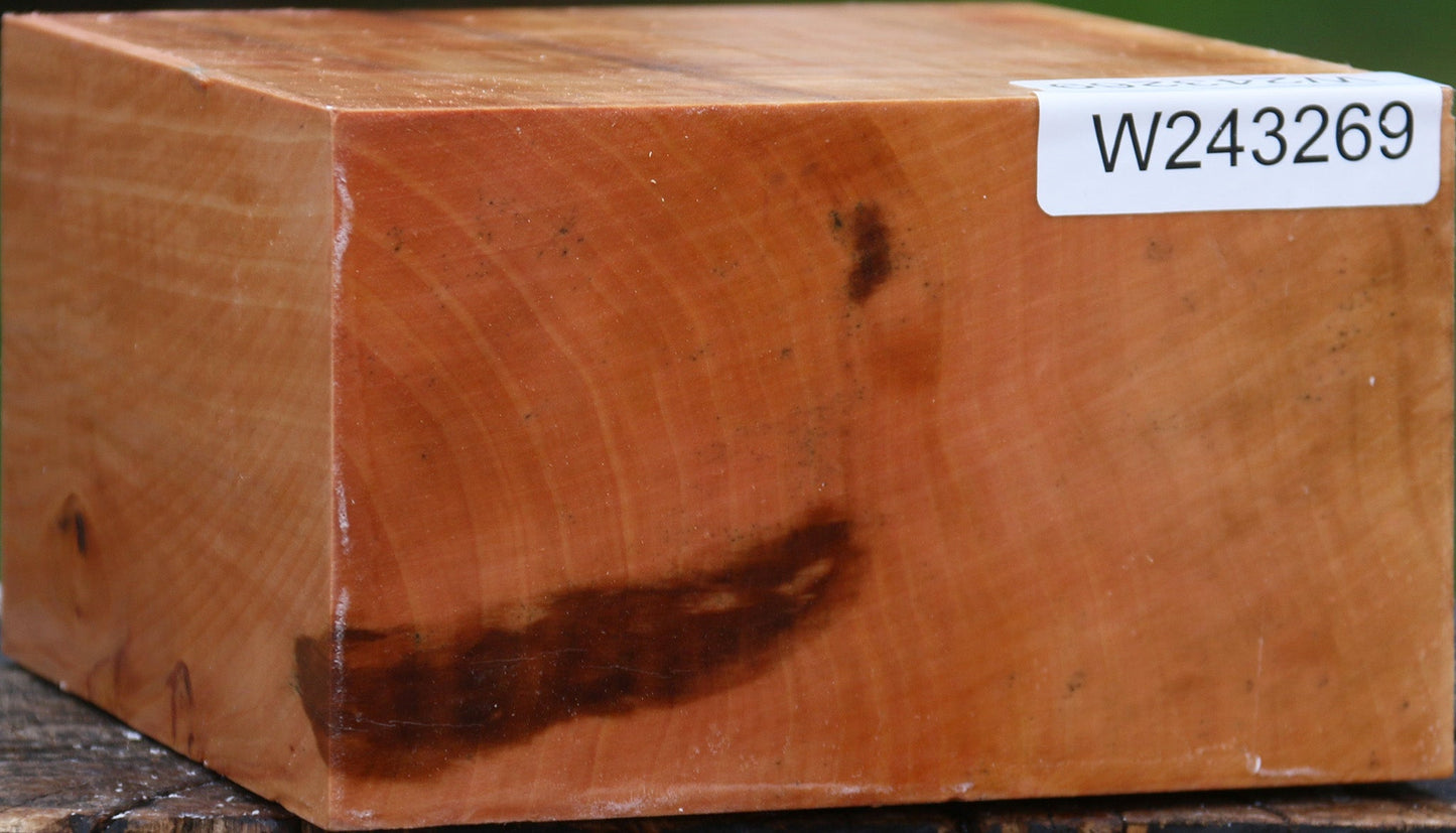 Extra Fancy Swiss Pear Bowl Blank