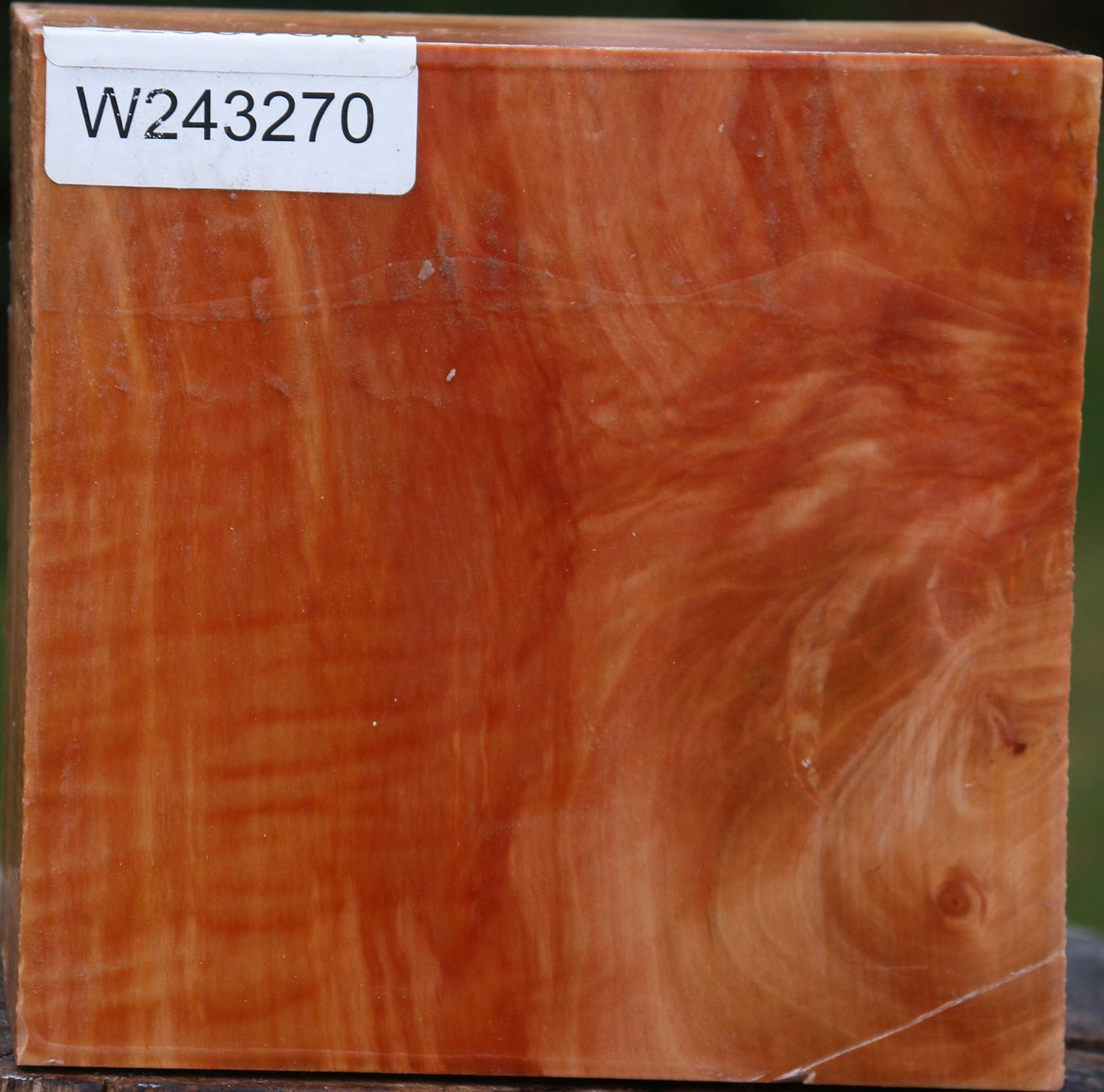 Figured Swiss Pear Bowl Blank