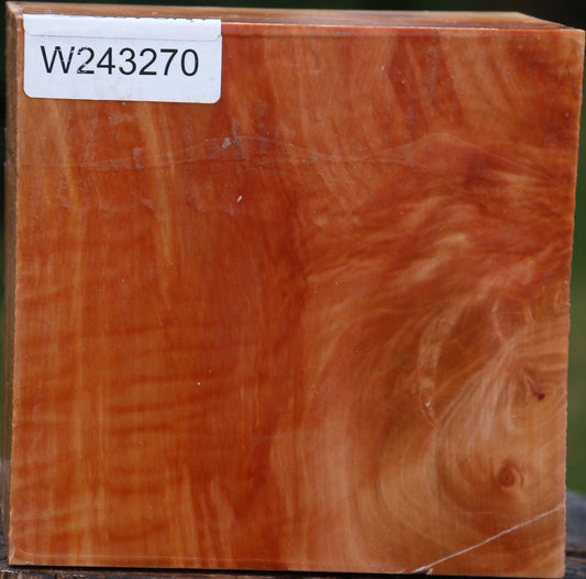 Figured Swiss Pear Bowl Blank