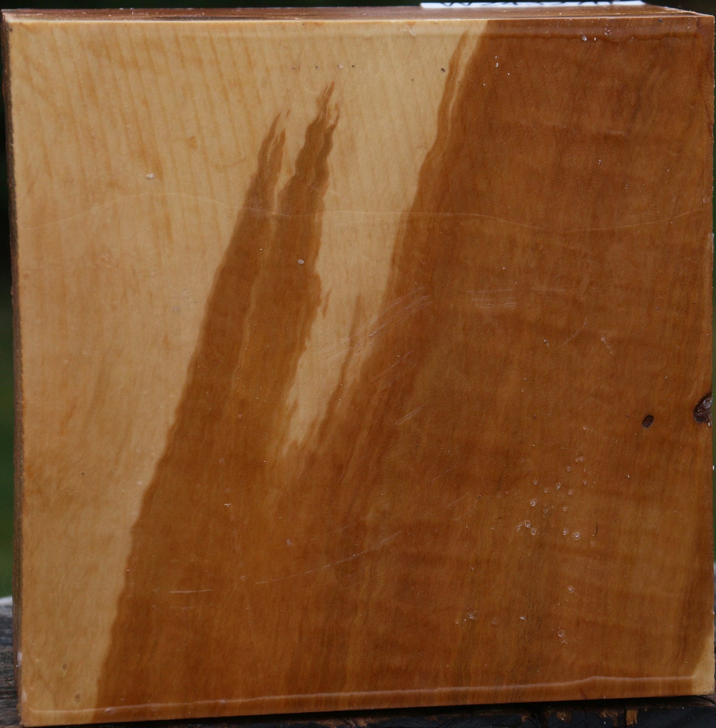 Figured Swiss Pear Bowl Blank