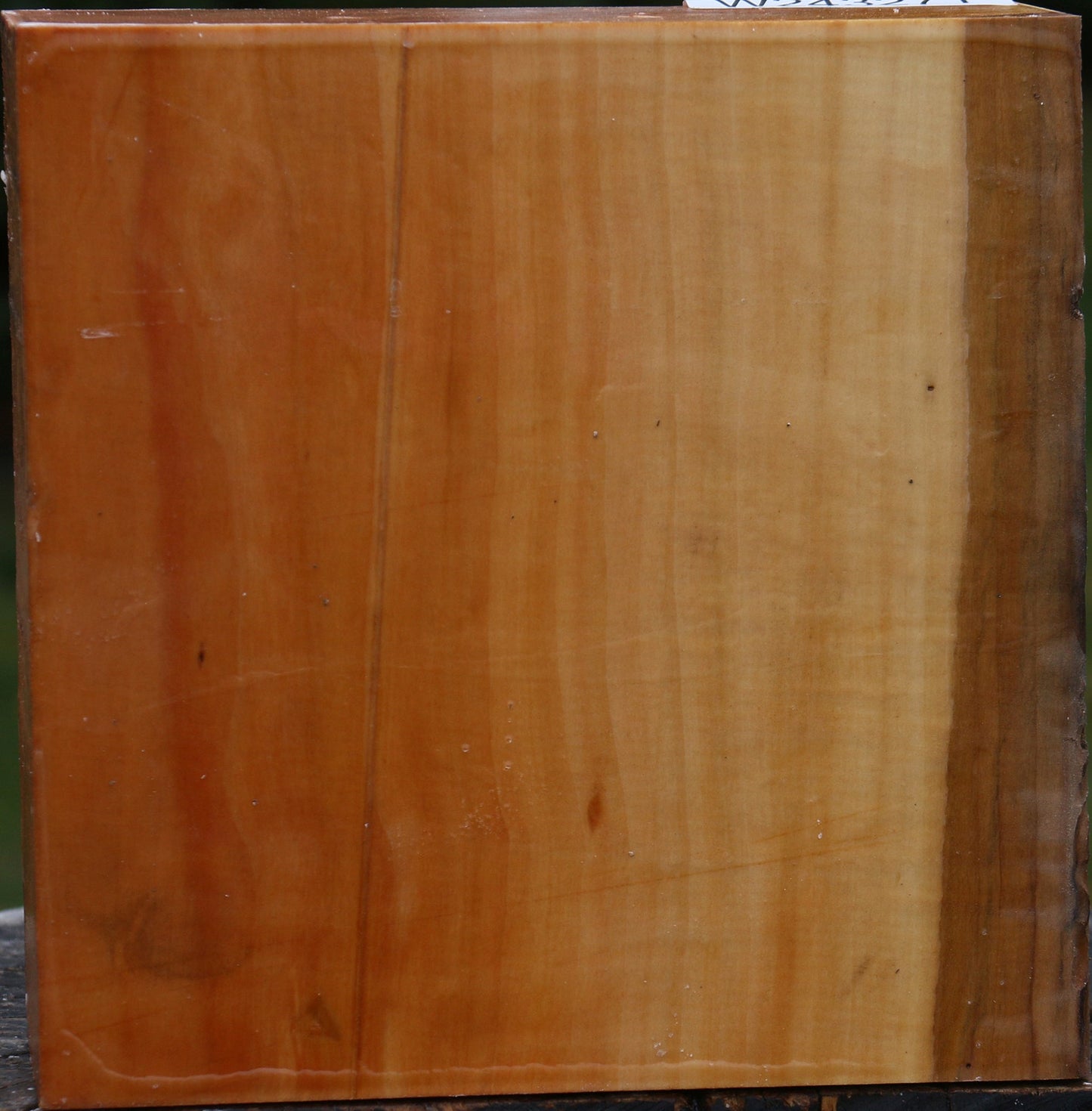 Swiss Pear Bowl Blank