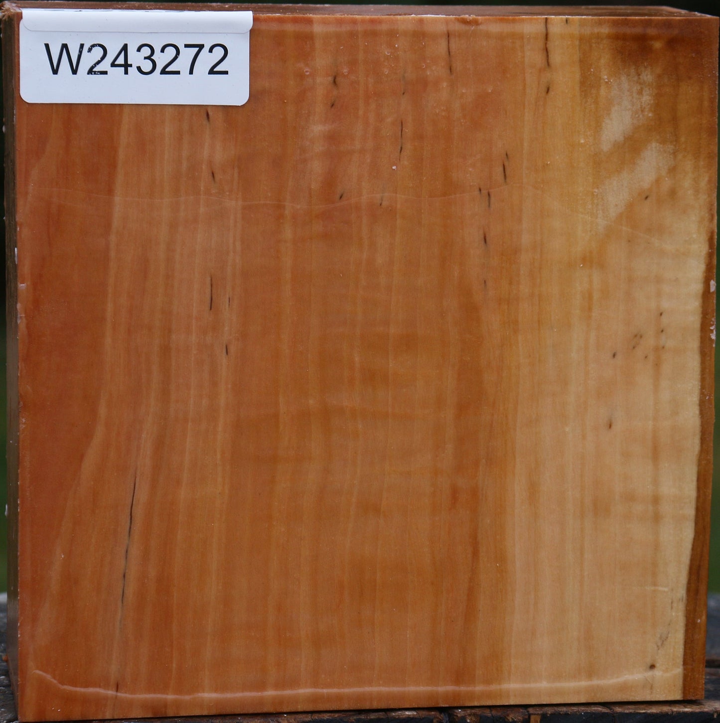 Swiss Pear Bowl Blank