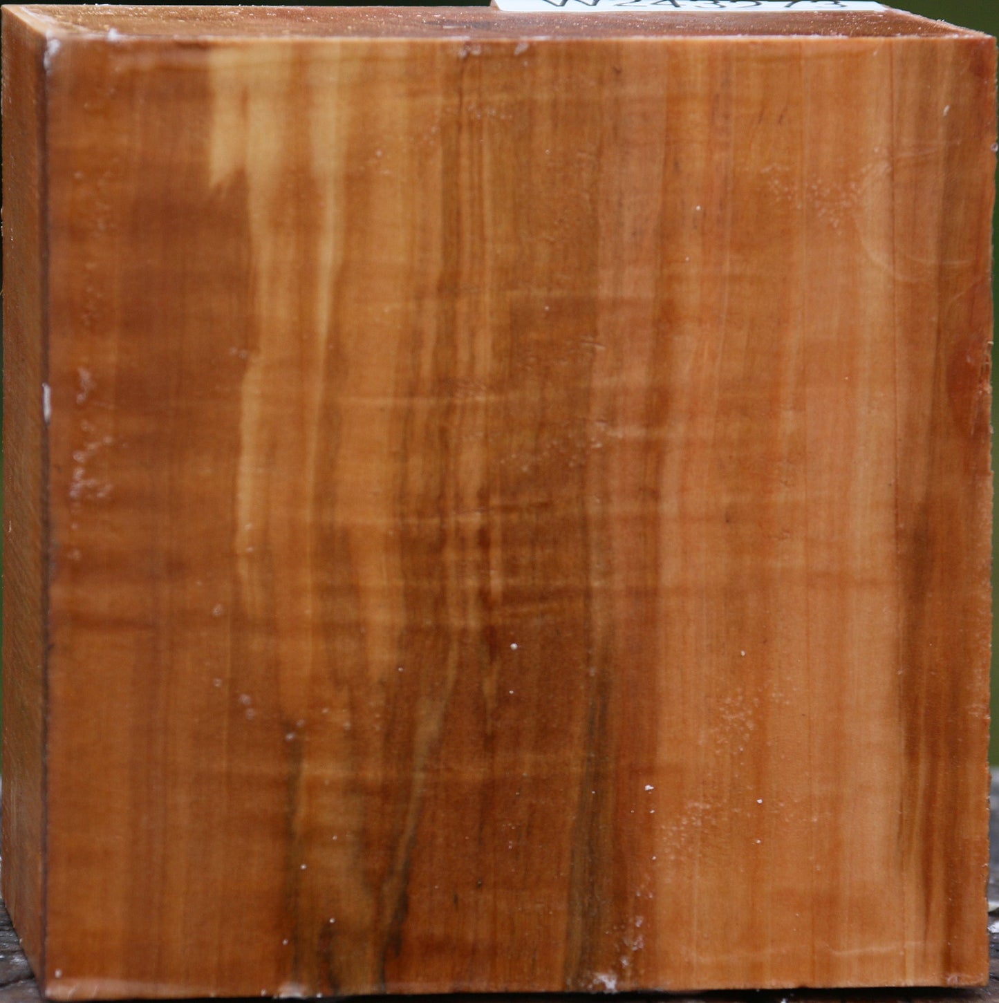 Figured Swiss Pear Bowl Blank