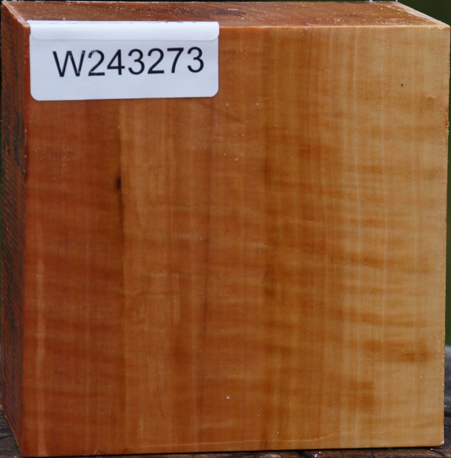 Figured Swiss Pear Bowl Blank