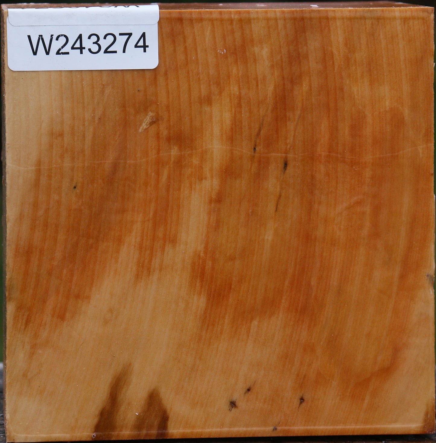 Figured Swiss Pear Bowl Blank