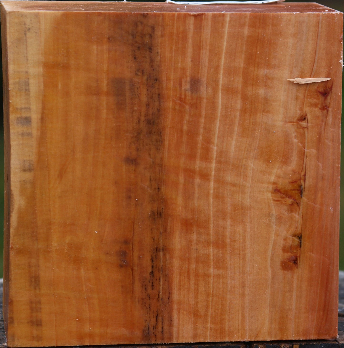 Figured Swiss Pear Bowl Blank