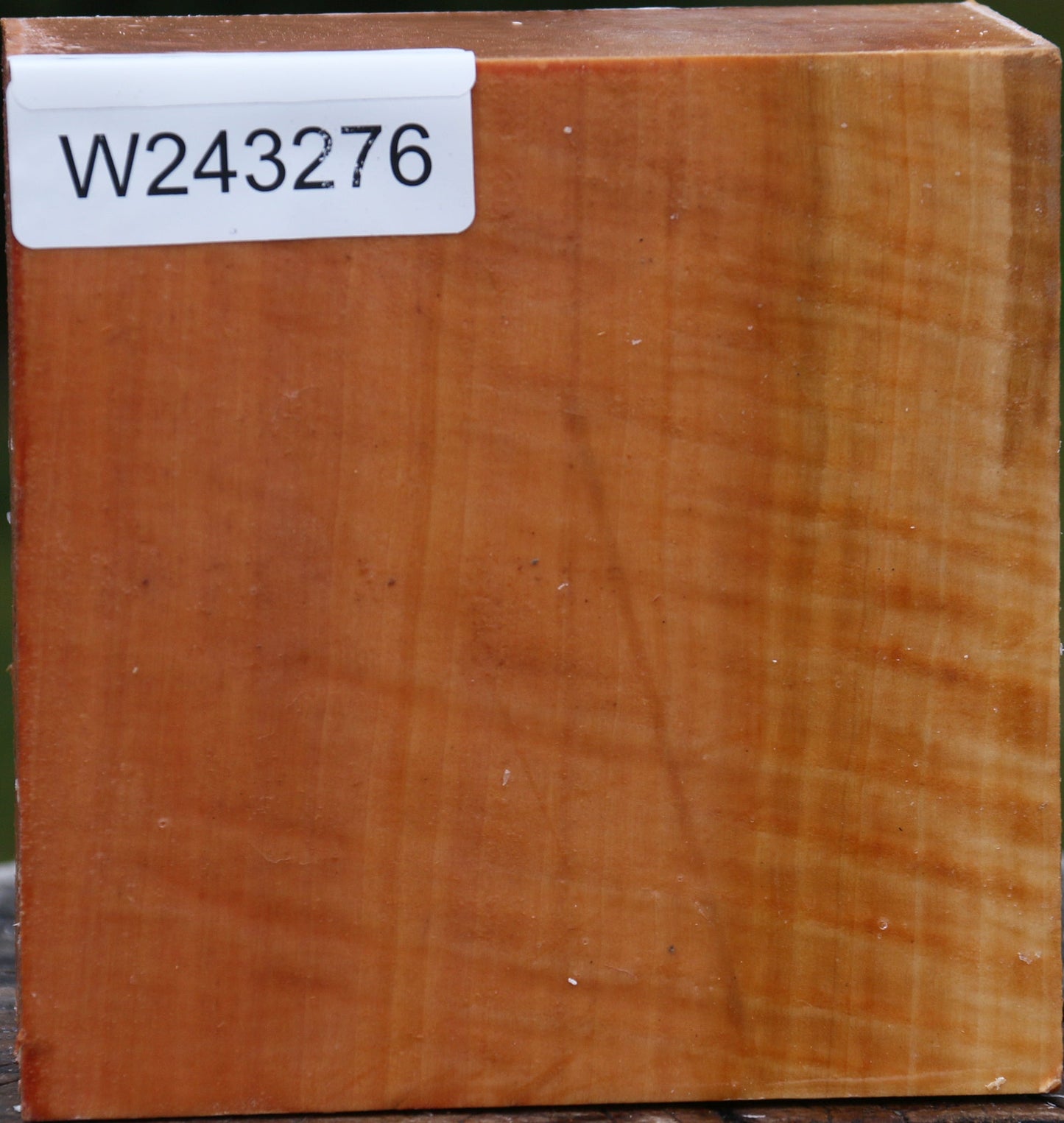 Extra Fancy Swiss Pear Bowl Blank