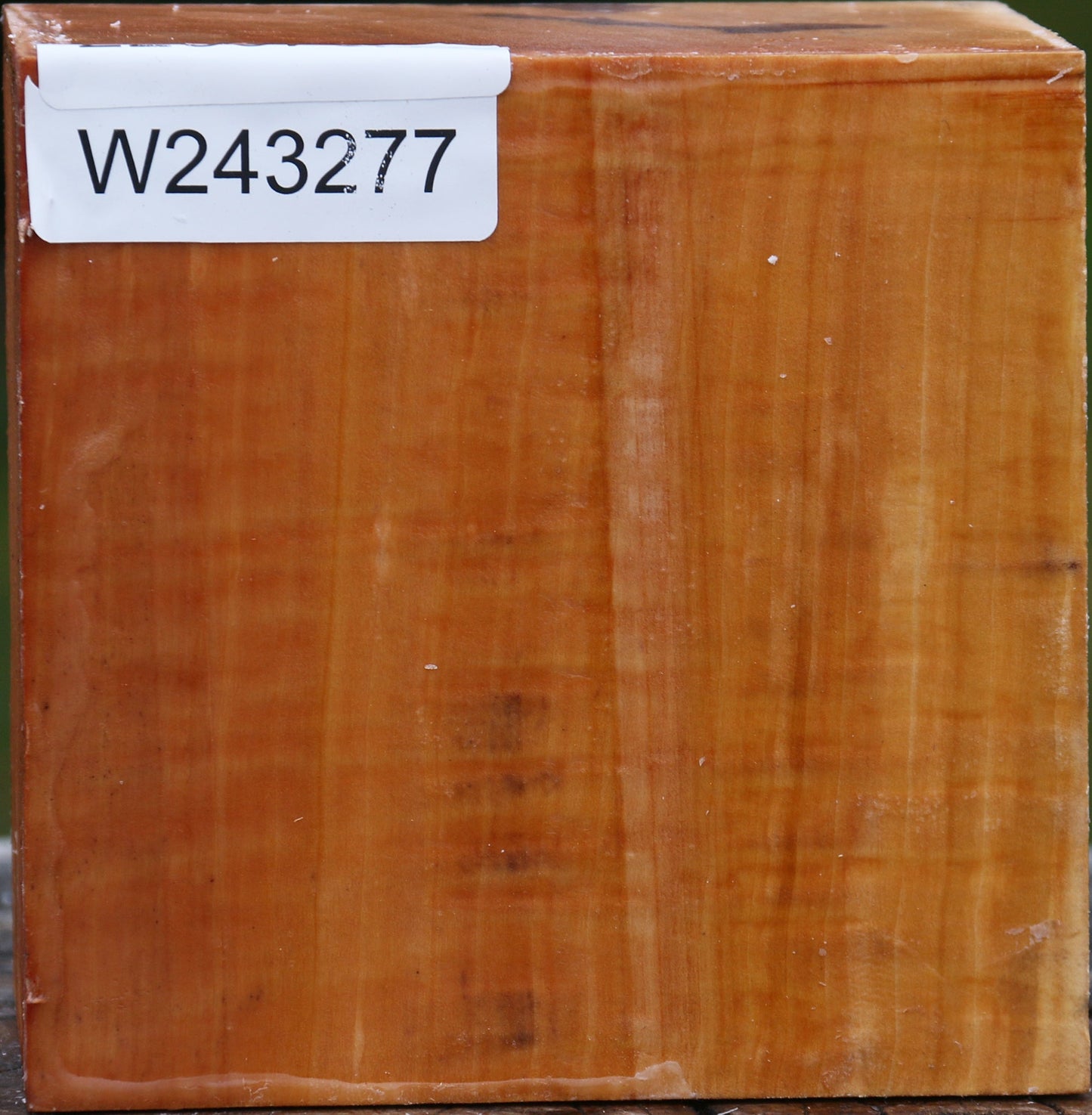 Figured Swiss Pear Bowl Blank