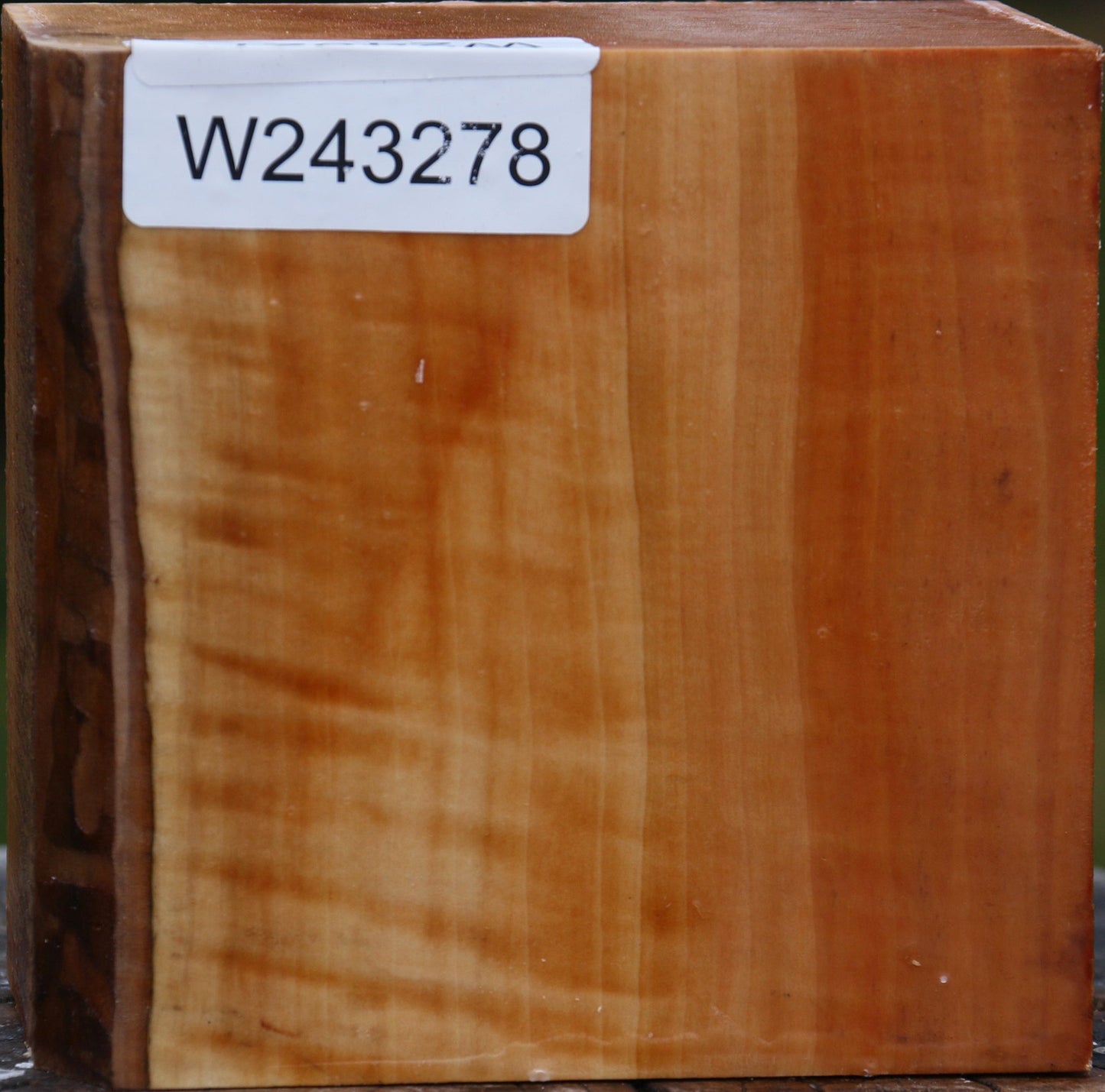 Figured Swiss Pear Bowl Blank