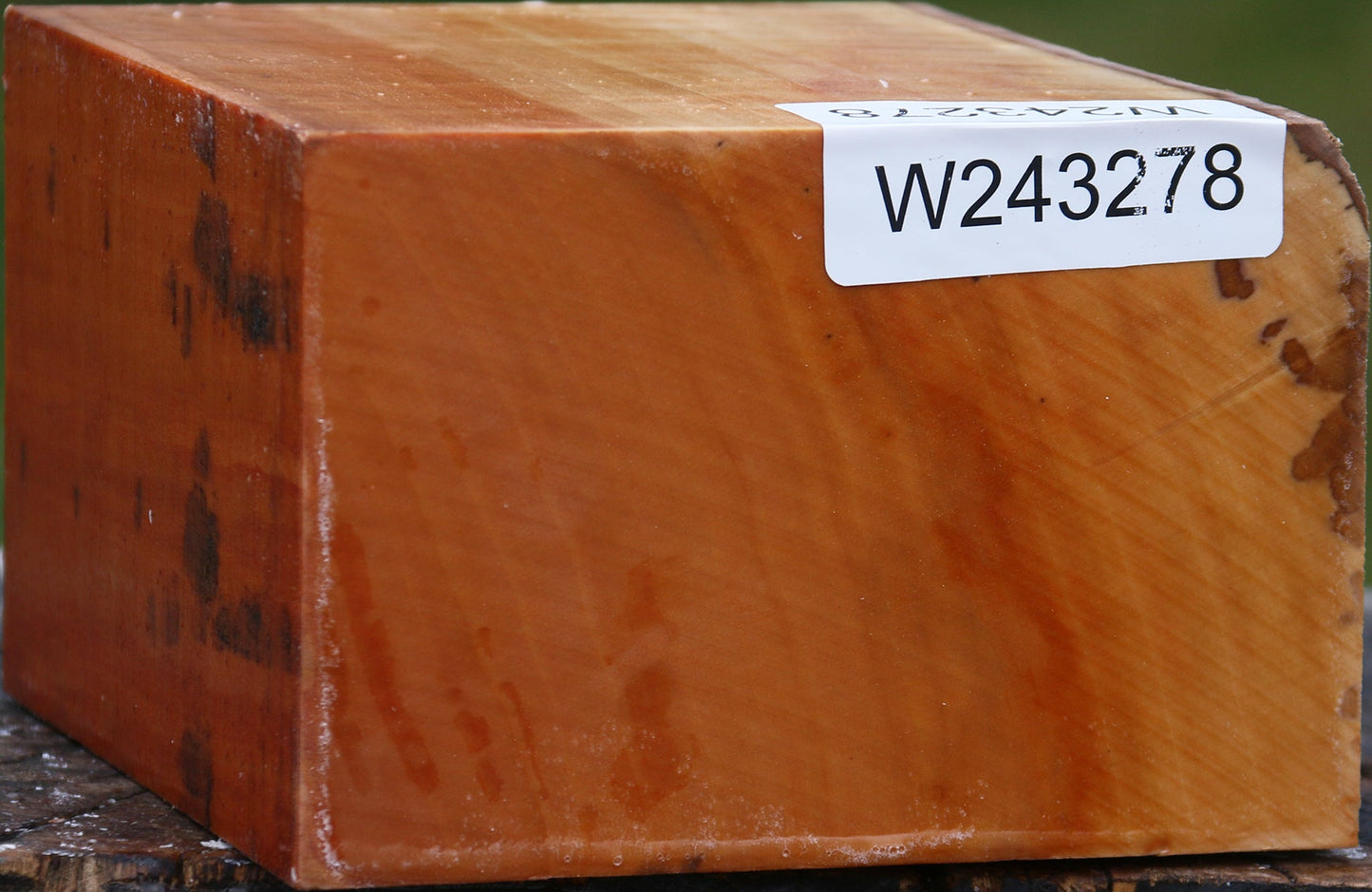 Figured Swiss Pear Bowl Blank