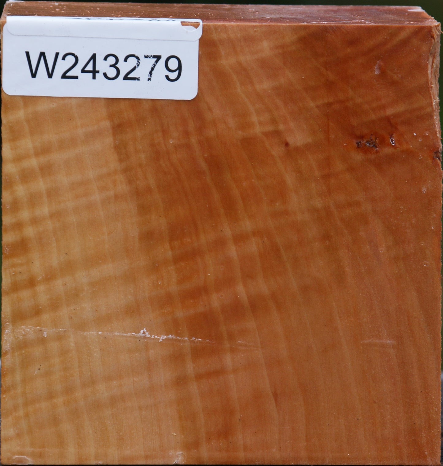 Extra Fancy Swiss Pear Bowl Blank