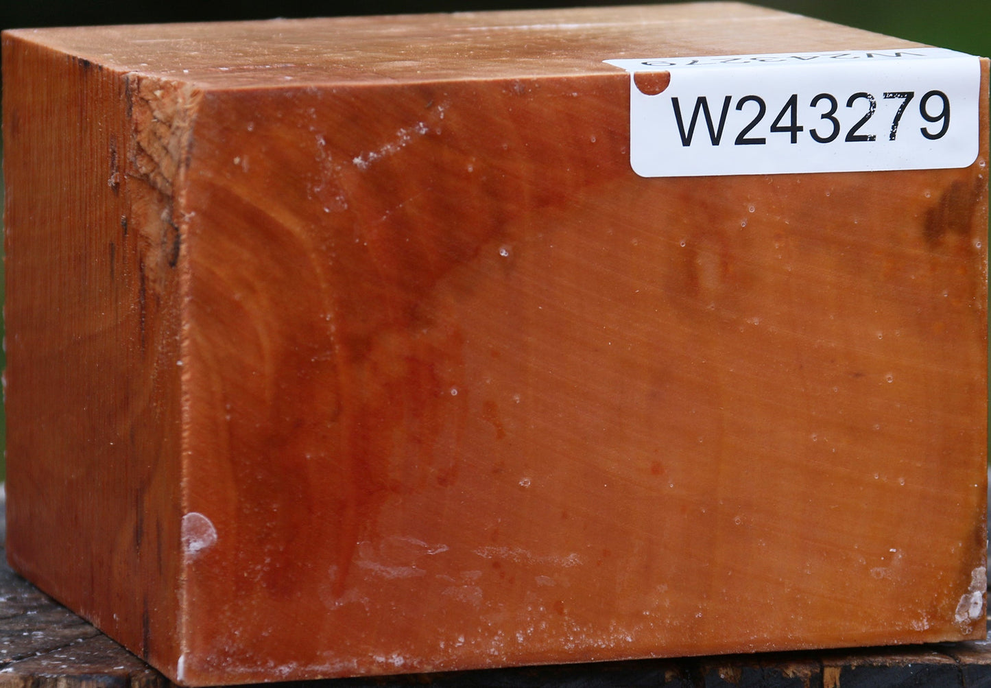 Extra Fancy Swiss Pear Bowl Blank