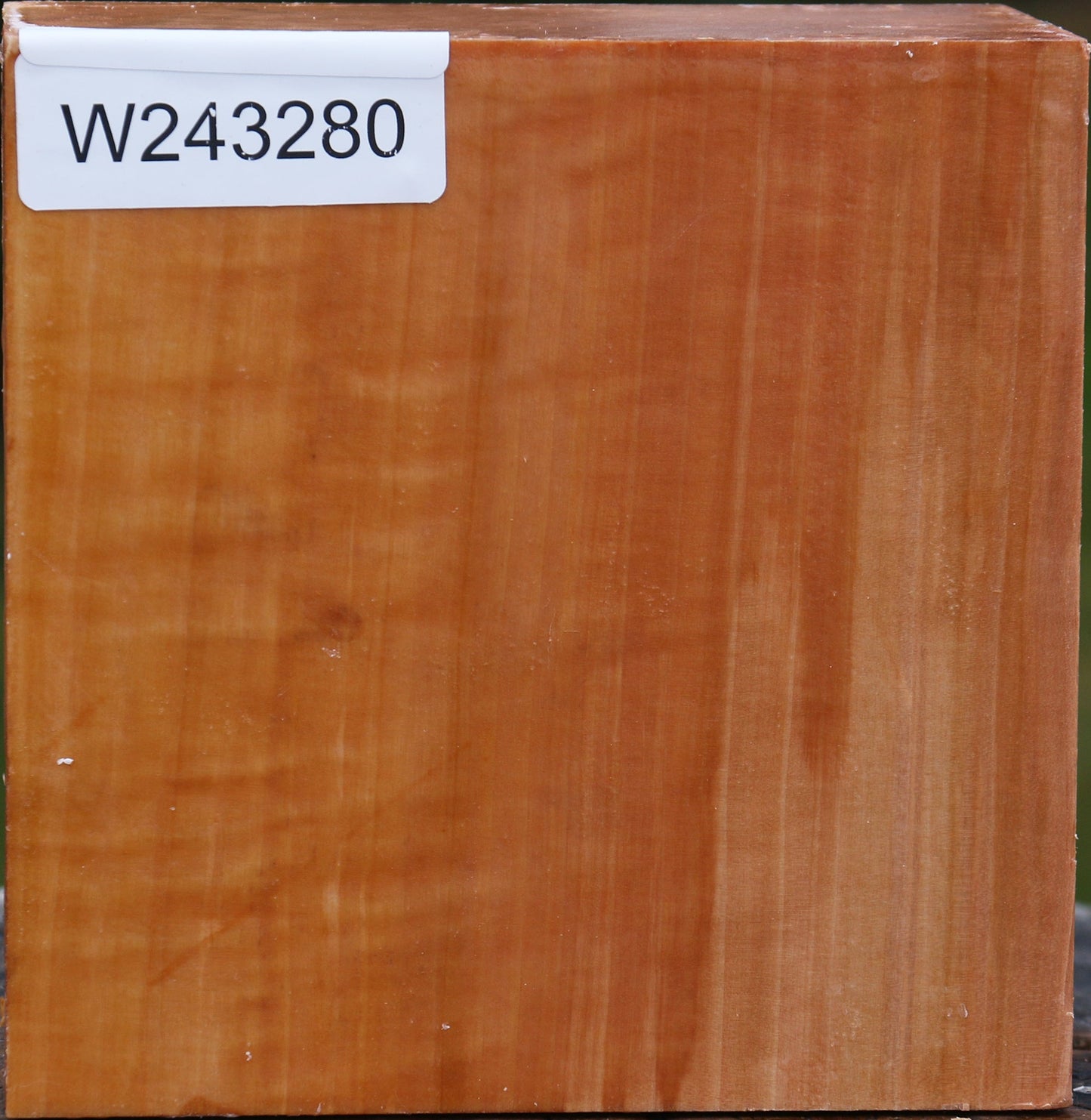 Extra Fancy Swiss Pear Bowl Blank