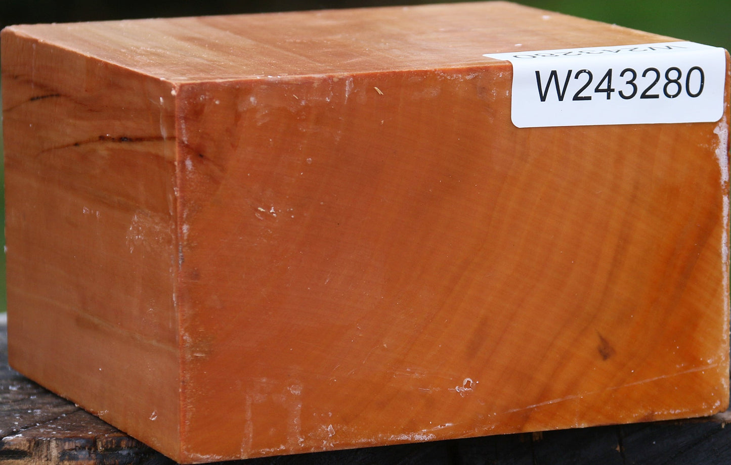 Extra Fancy Swiss Pear Bowl Blank