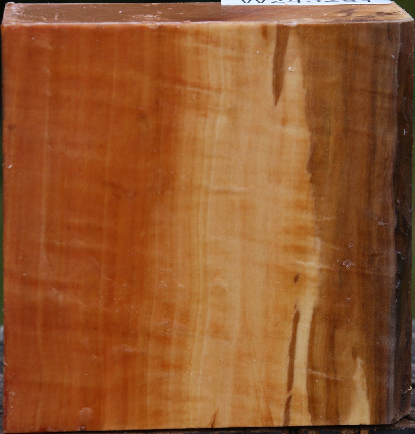 Extra Fancy Swiss Pear Bowl Blank