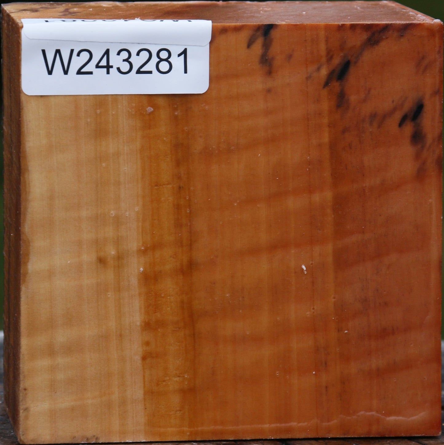 Extra Fancy Swiss Pear Bowl Blank