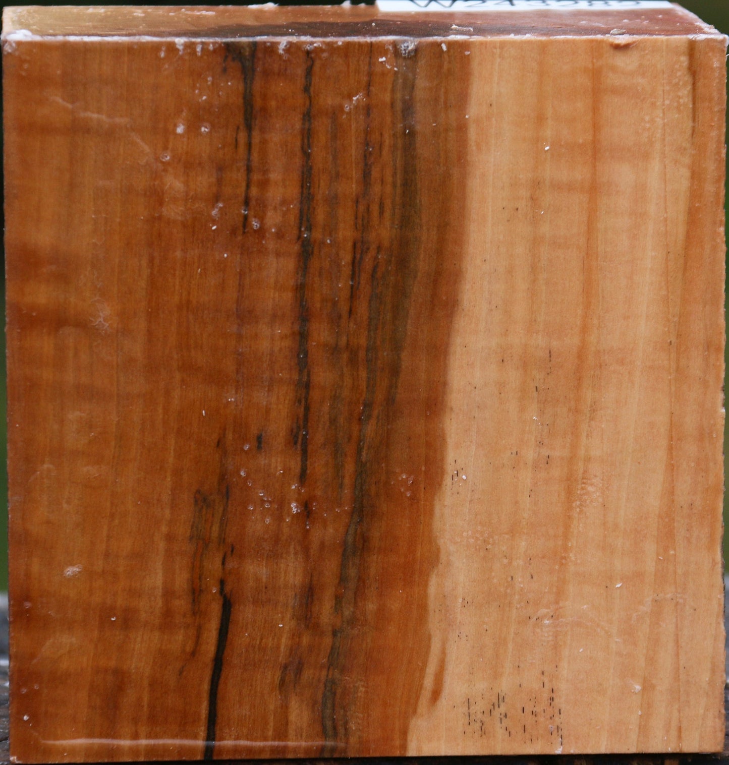 Figured Swiss Pear Bowl Blank