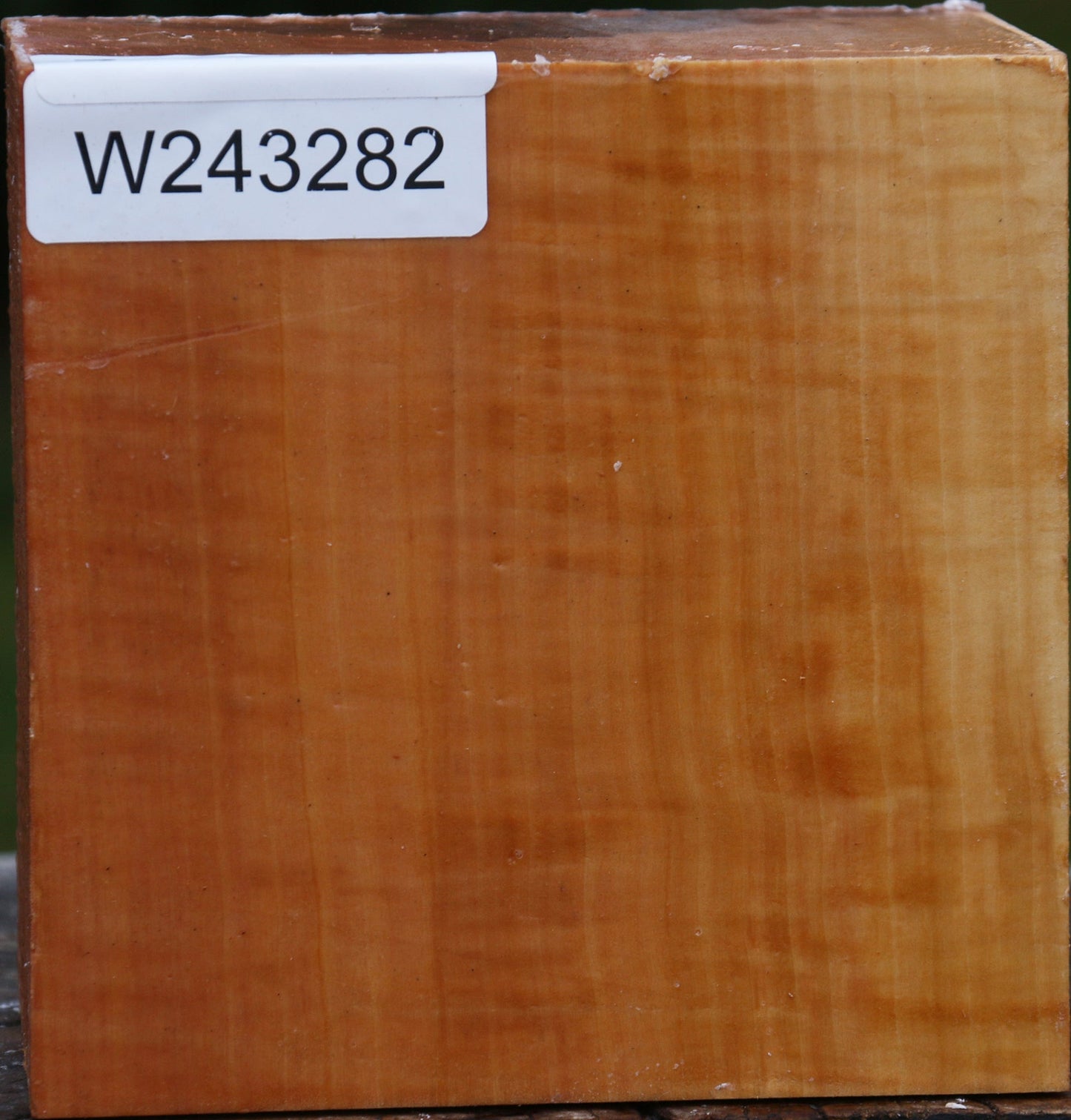 Figured Swiss Pear Bowl Blank