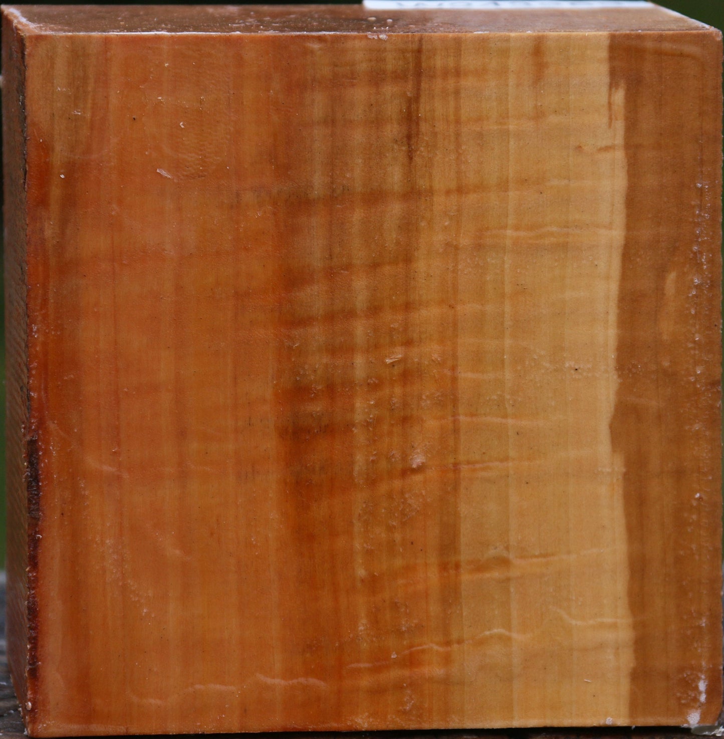 Figured Swiss Pear Bowl Blank