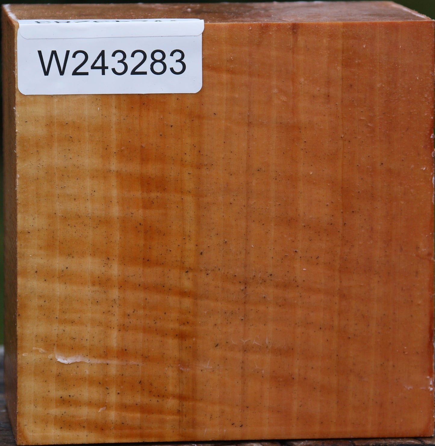 Figured Swiss Pear Bowl Blank