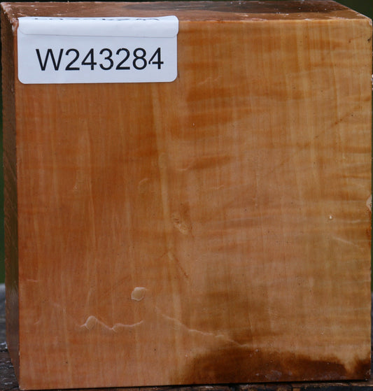 Figured Swiss Pear Bowl Blank