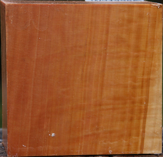 Extra Fancy Swiss Pear Bowl Blank