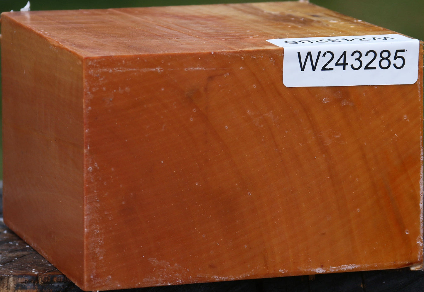 Extra Fancy Swiss Pear Bowl Blank