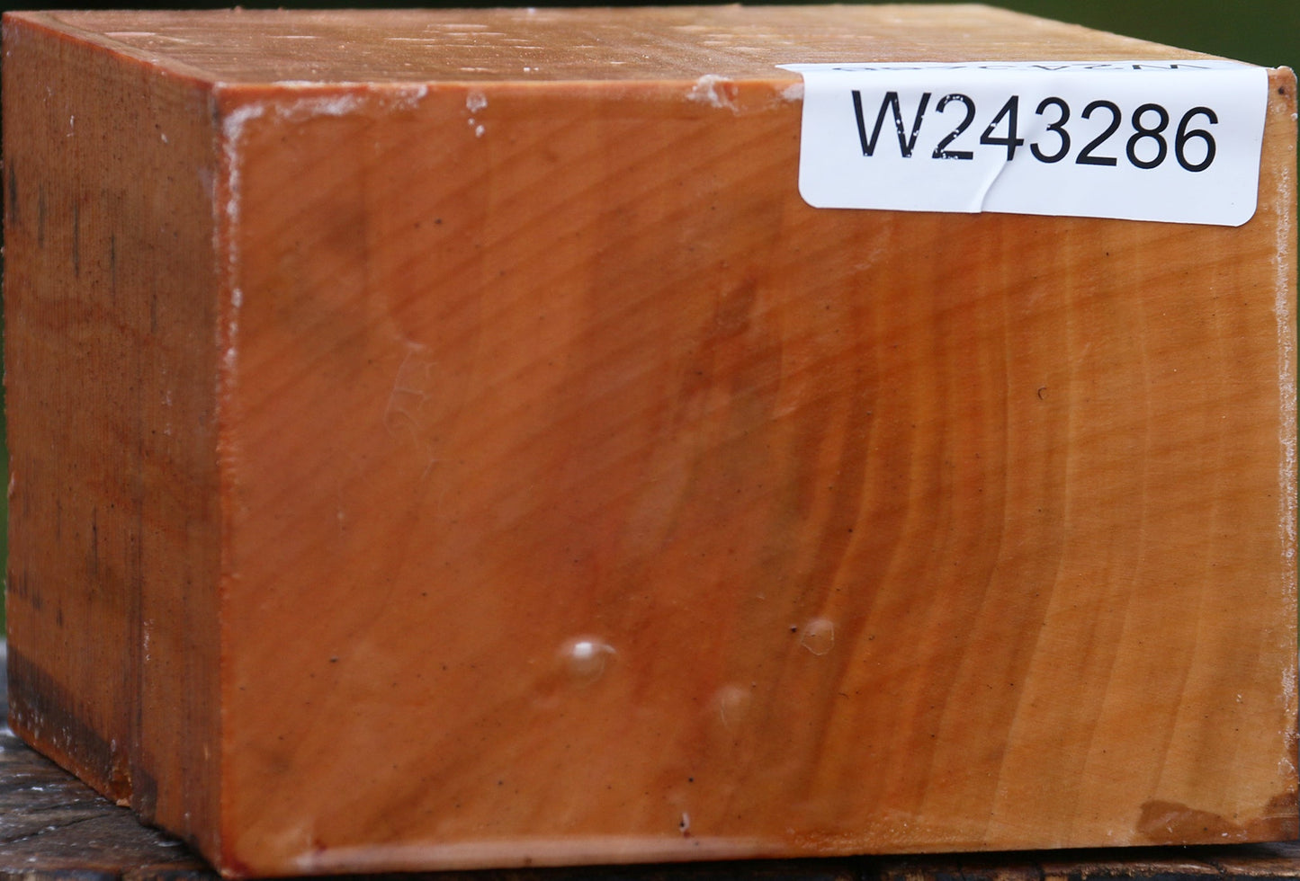 Extra Fancy Swiss Pear Bowl Blank