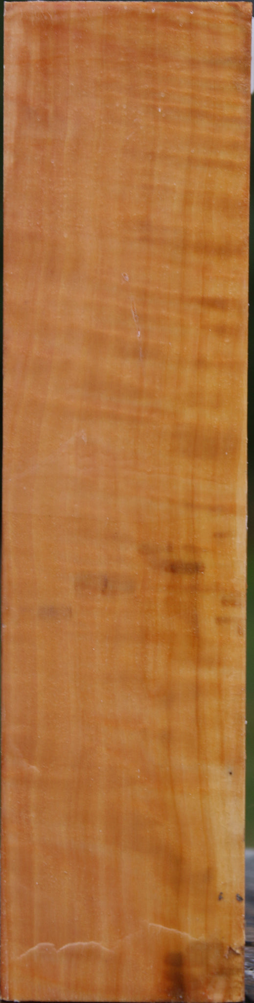 Extra Fancy Swiss Pear Peppermill