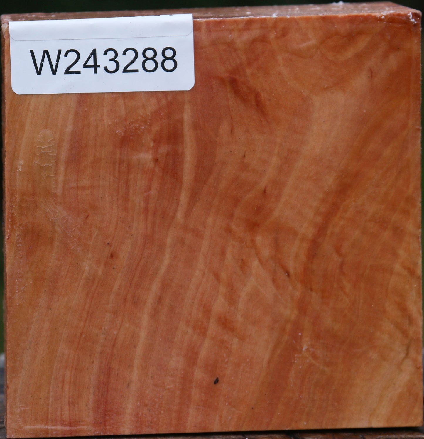 Extra Fancy Swiss Pear Bowl Blank