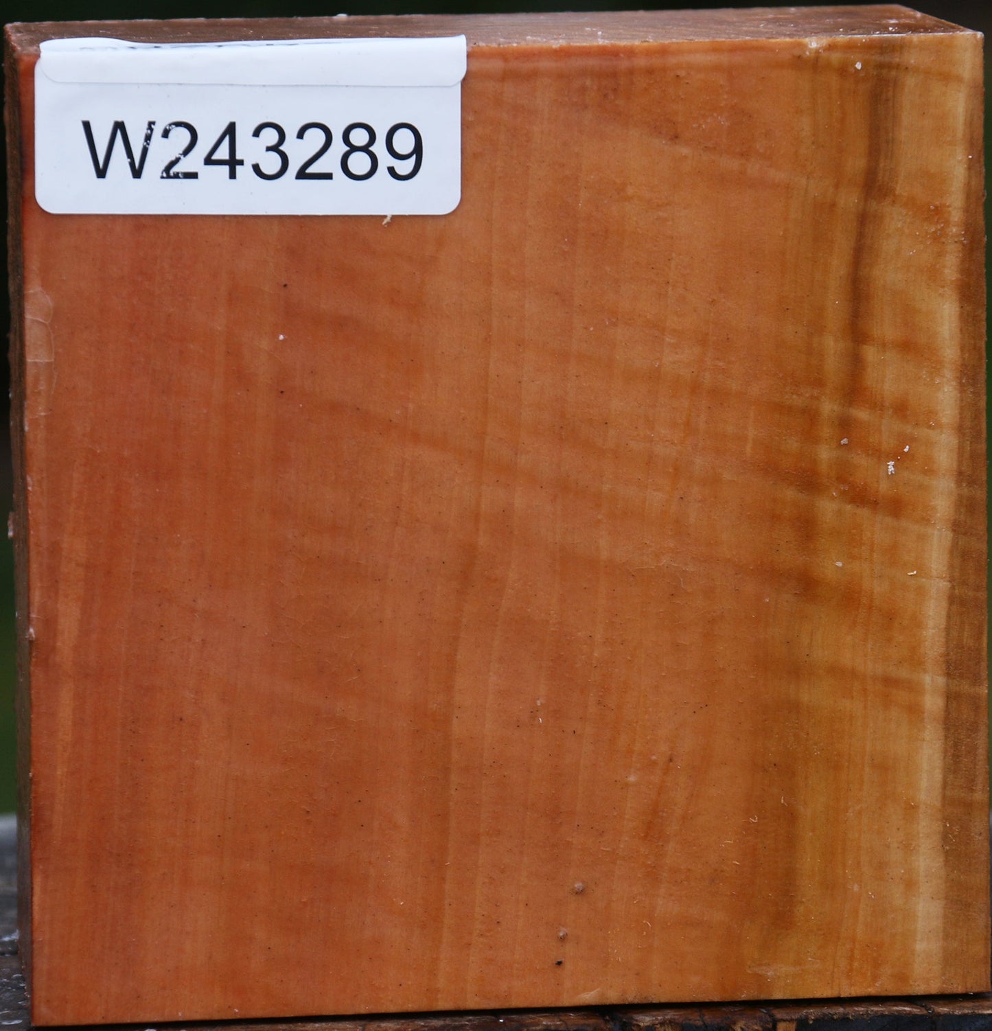 Figured Swiss Pear Bowl Blank