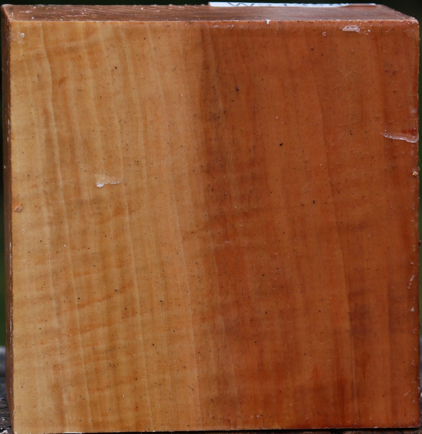 Figured Swiss Pear Bowl Blank