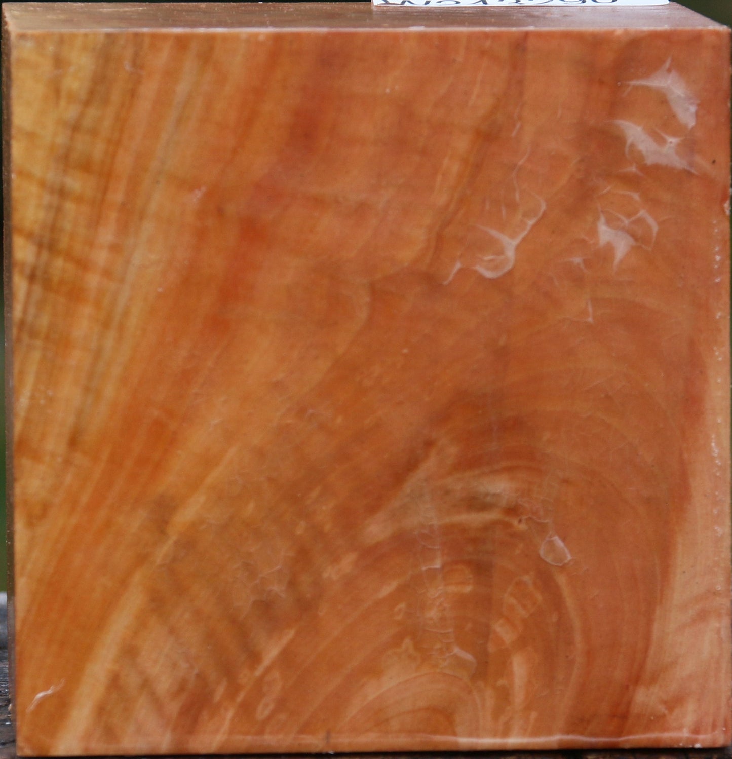 Extra Fancy Swiss Pear Bowl Blank