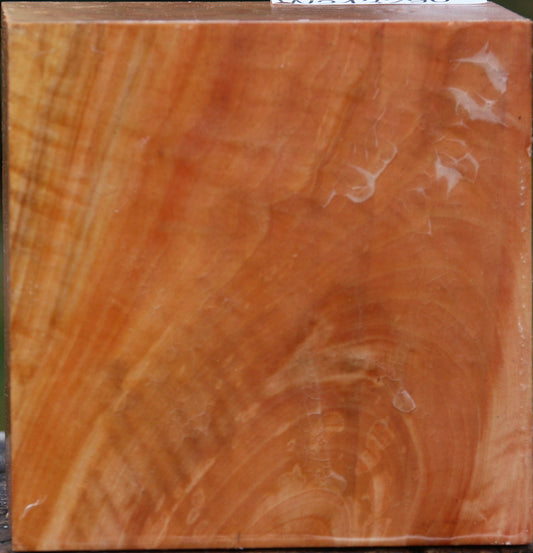 Extra Fancy Swiss Pear Bowl Blank