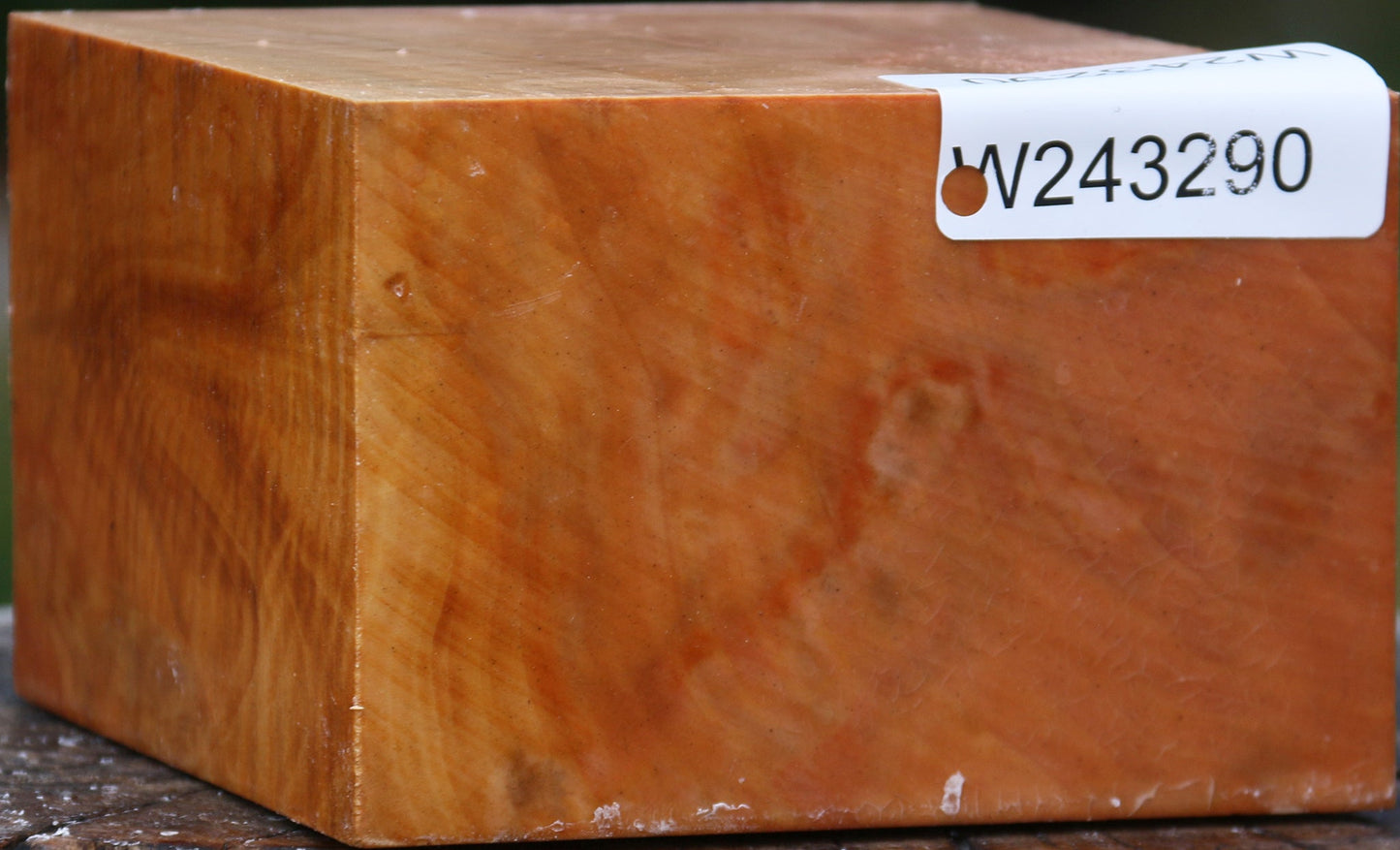 Extra Fancy Swiss Pear Bowl Blank