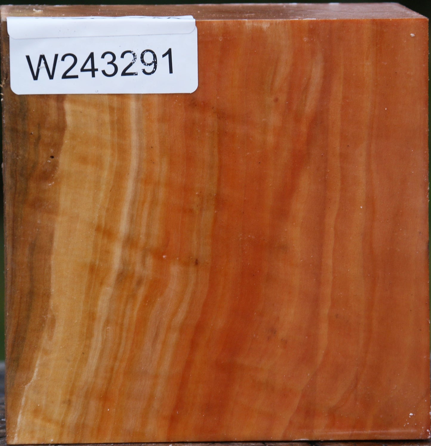 Extra Fancy Swiss Pear Bowl Blank