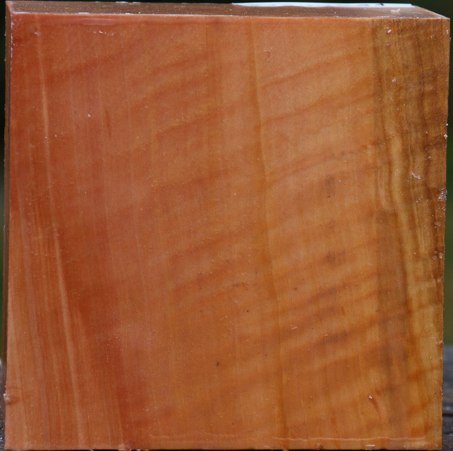 Extra Fancy Swiss Pear Bowl Blank