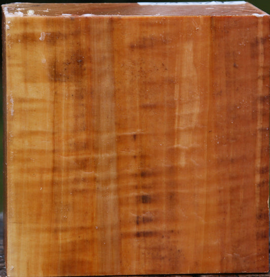 Figured Swiss Pear Bowl Blank