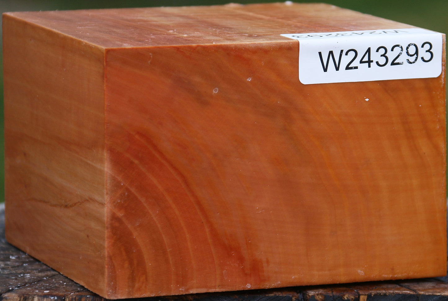 Extra Fancy Swiss Pear Bowl Blank